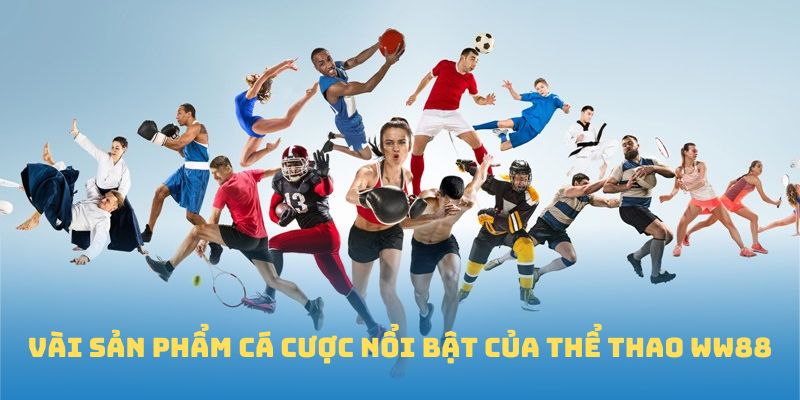 Vài sản phẩm cá cược nổi bật của Thể thao WW88