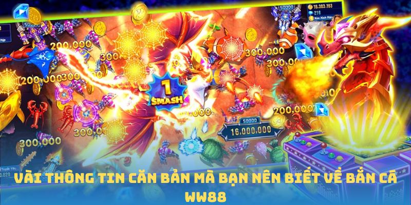 Vài thông tin căn bản mà bạn nên biết về bắn cá WW88