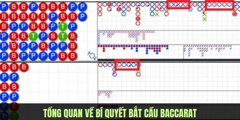 Bí quyết bắt cầu baccarat giúp người chơi gia tăng cơ hội chiến thắng