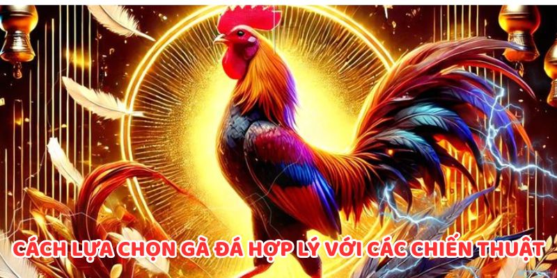 Cần biết cách lựa chọn gà đá hợp lý với các chiến thuật