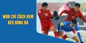 Cách Xem Kèo Bóng Đá Siêu Chuẩn Cho Cược Thủ Tại WW88