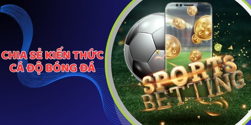 Chia Sẻ Kiến Thức Cá Độ Bóng Đá Dành Cho Tân Thủ WW88