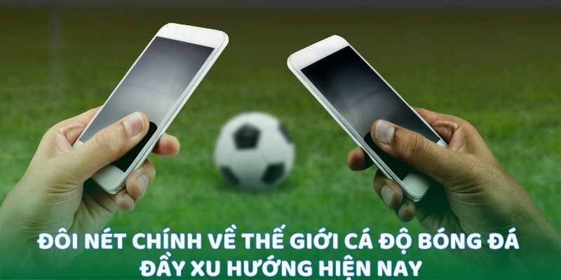 Đôi nét chính về thế giới cá độ bóng đá đầy xu hướng hiện nay