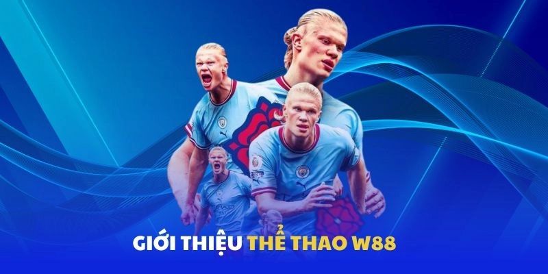 Giới thiệu thể thao WW88 đẳng cấp