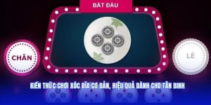 Kiến Thức Chơi Xóc Đĩa Cơ Bản, Hiệu Quả Dành Cho Tân Binh