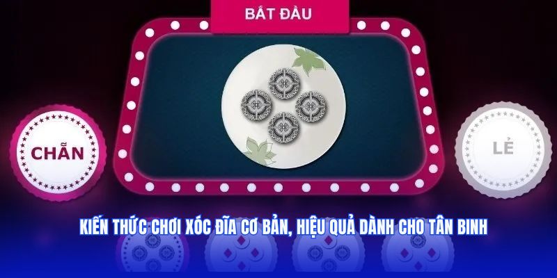 Kiến Thức Chơi Xóc Đĩa Cơ Bản, Hiệu Quả Dành Cho Tân Binh