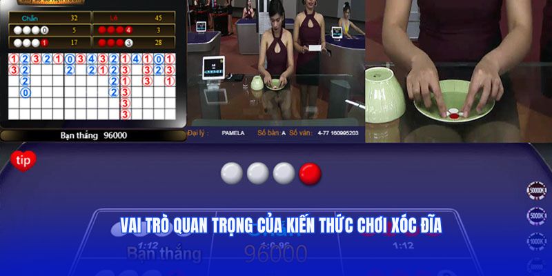 Vai trò quan trọng của kiến thức chơi xóc đĩa