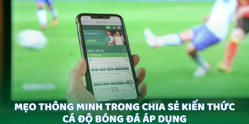 Mẹo thông minh trong chia sẻ kiến thức cá độ bóng đá áp dụng